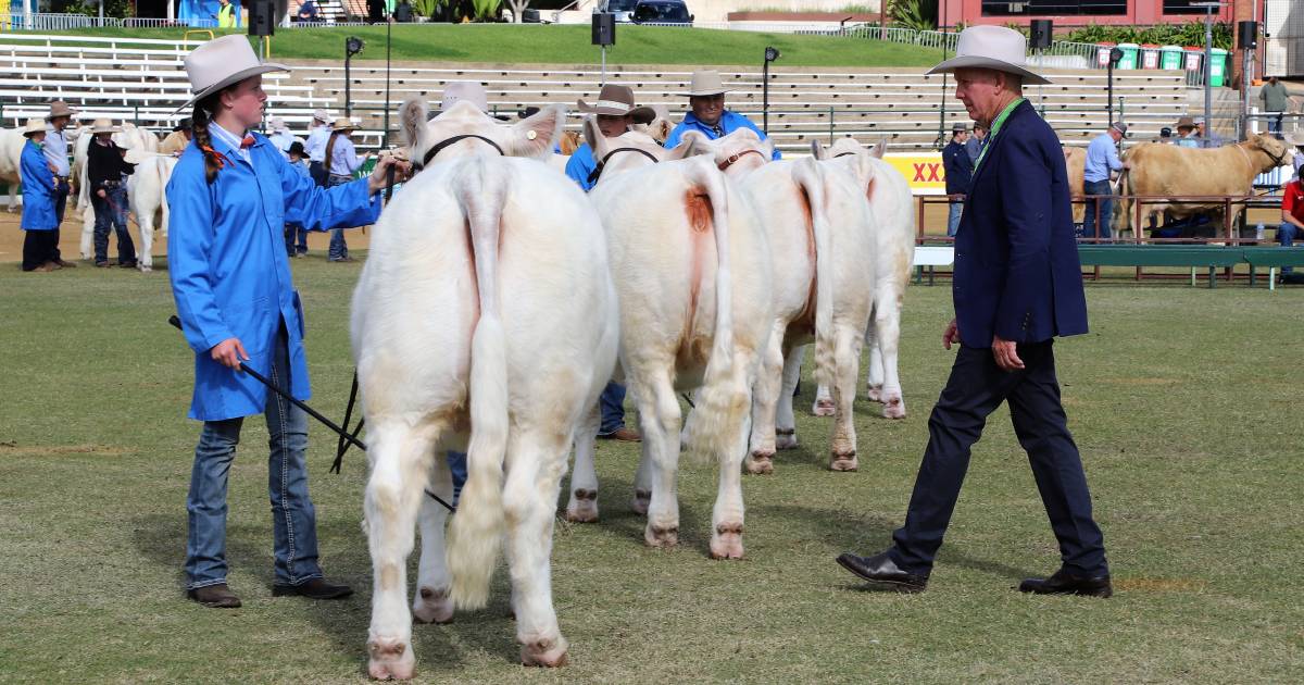 Ekka 2022: Faces around the Charolais ring | Queensland Country Life