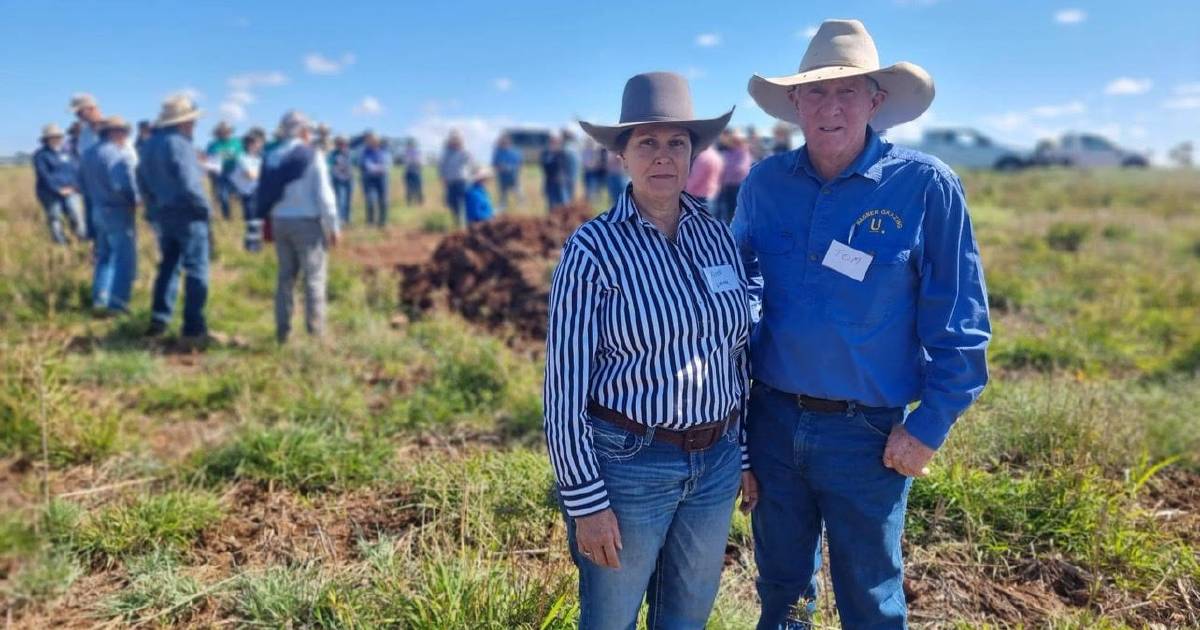 Banana graziers turn to biological farming to better manage their land