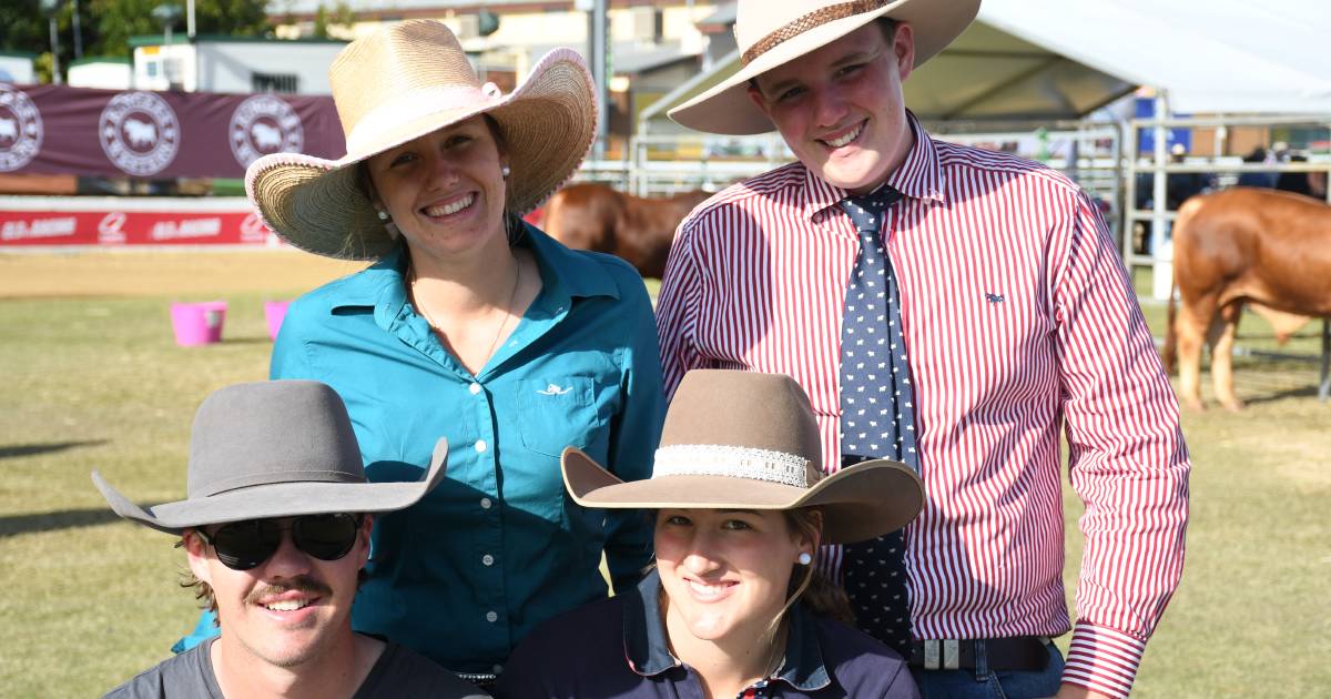 Droughtmaster ring draws a crowd