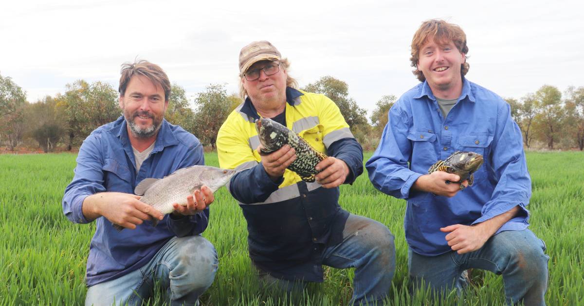 Mid West farmers are hooked on fishing