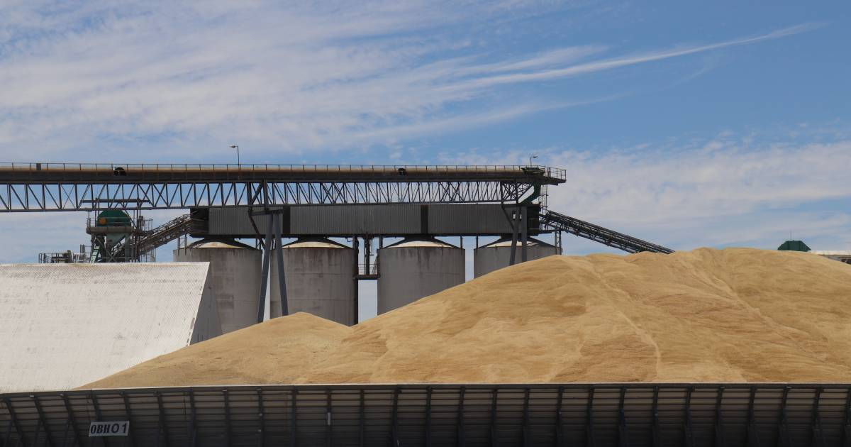 CBH Group grain carry-over could be costly | Farm Weekly