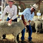 Lucrana Simmentals top at $30,000 and heading to CQ