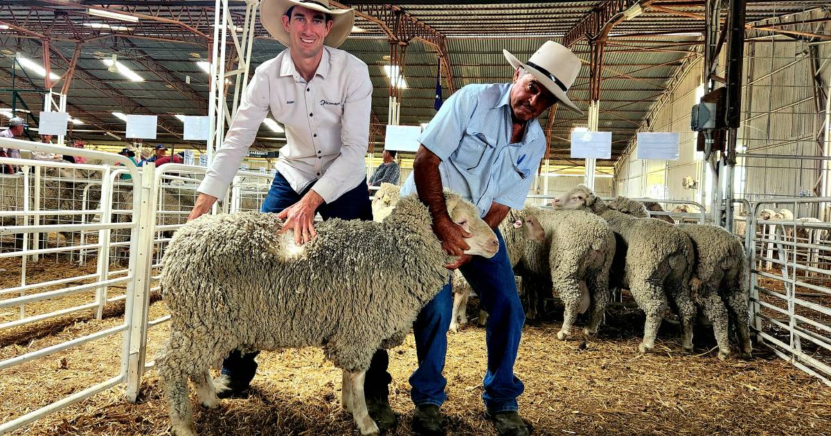 Riss is the word at Longreach ram sale