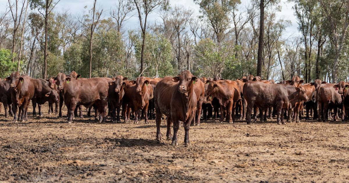 $22m biosecurity boost for Qld revealed