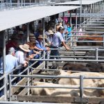 Variety Bash has an eventful experience in Mount Isa and North West