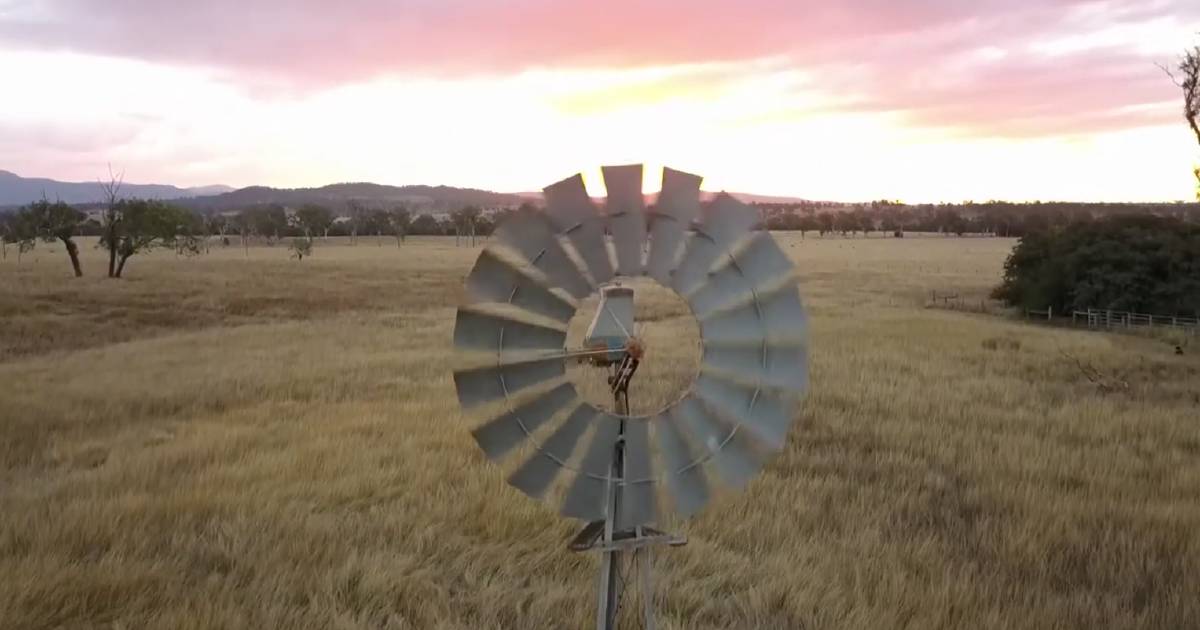 Five new Queensland carbon farming projects receive funding | Queensland Country Life