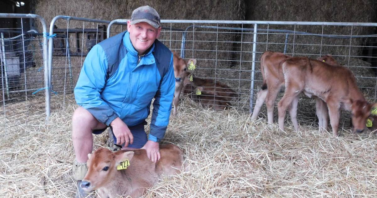 Kangaroo Valley dairy farmer Graeme Cochrane shares his insights on rearing Jersey calves | The Land