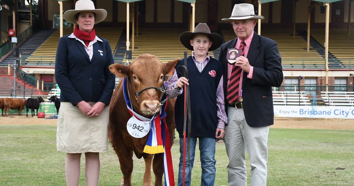 Mighty Mcutchens clean up South Devon competition at Ekka