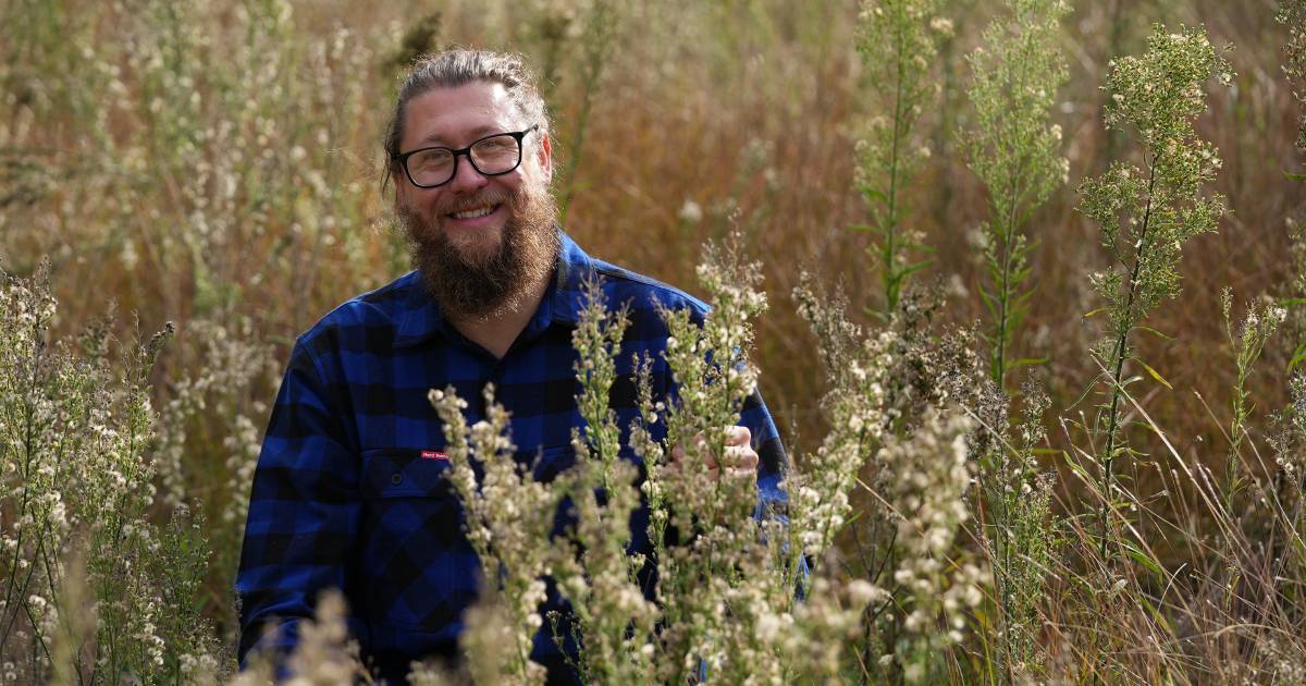 New biocontrol to tackle flaxleaf fleabane problem