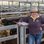 Droughtmasters celebrate 60 years with cracking Ekka competition