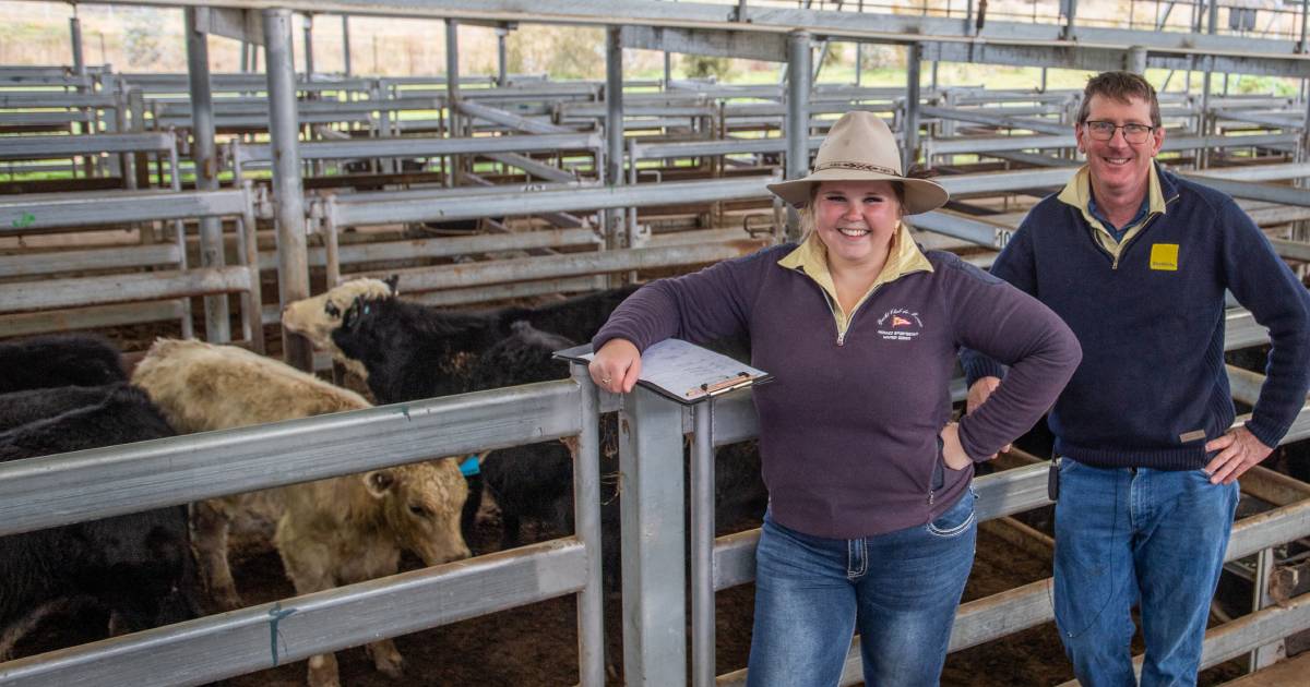 Cattle values mixed in south | Prime cattle update