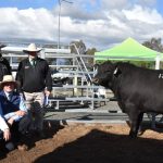 Short pasture supplies could create weaning challenges