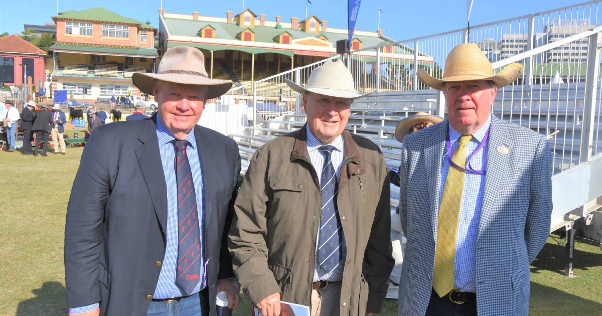 Faces around at the Ekka Santa Gertrudis judging ring | Photos