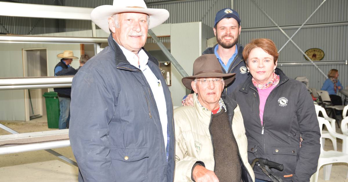 Bridgewater Performance Angus tops at a record $35,000, with 37 lots averaging $13,594 | The Land