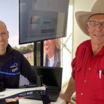 Restockers in pursuit of cows at Maitland