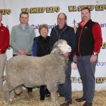 Wililoo wins at WA Sheep Expo & Ram Sale | Farm Weekly