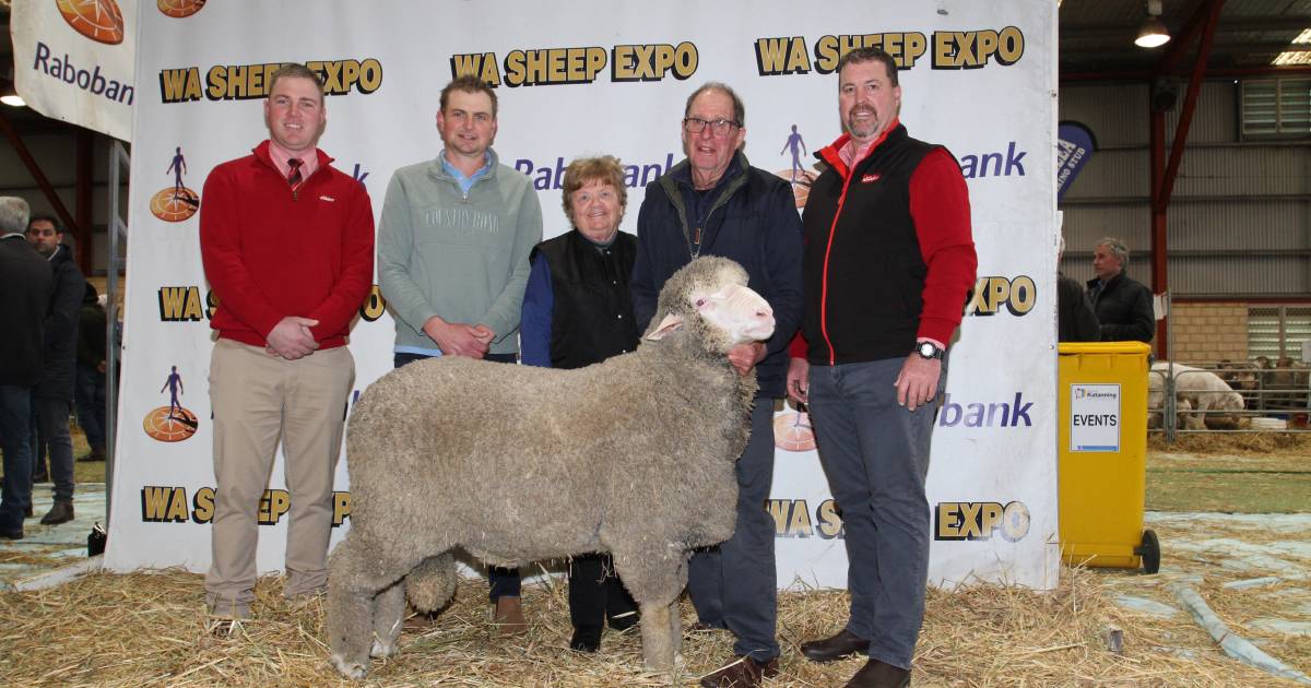 Claypans Poll Merino tops Katanning at $31,000 | Farm Weekly