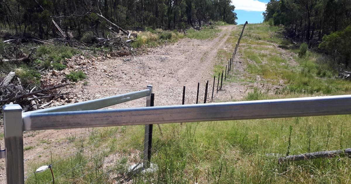 Trial underway tests electric wild dog fences in rugged Southern Downs area