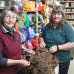 Talk of the Town: Saleyards are the place to make new mates