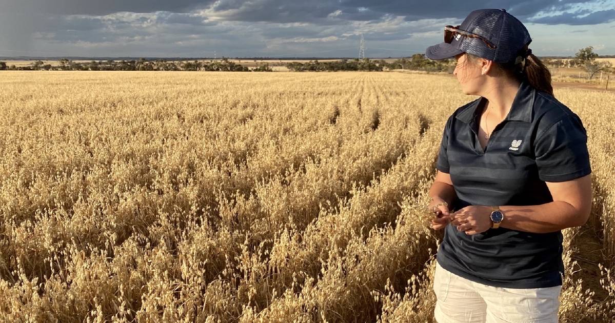 Hannah Mills, embraces agronomy in the Central Wheatbelt | Farm Weekly