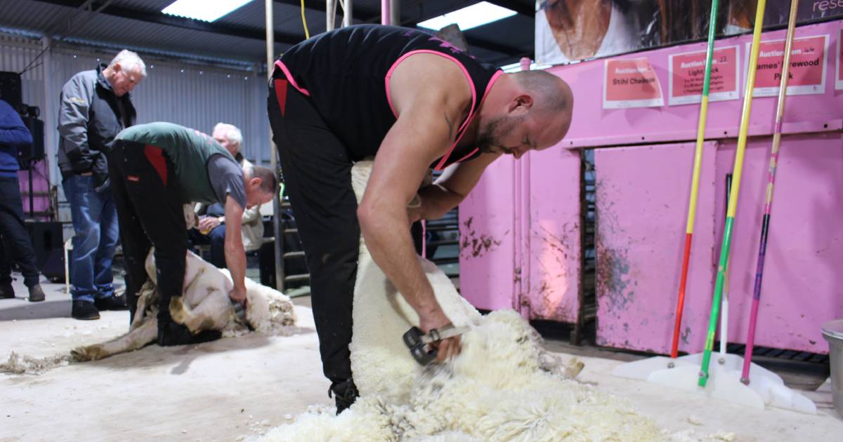 Shearing For Liz Pink Day fundraiser returns | Farm Weekly