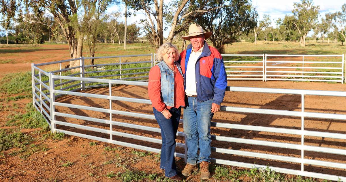 Edwards family moves from Droughtmaster to Wagyu and Aussie Whites | Queensland Country Life