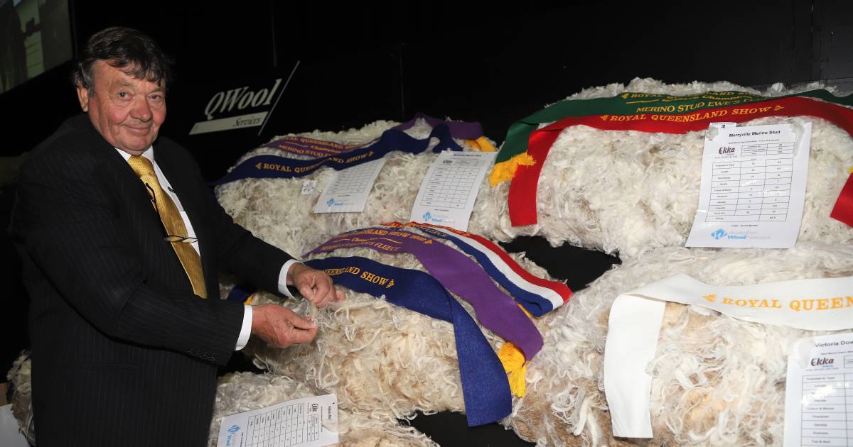 Ekka 2022: Merryville wins fleece competition at its first showing | Queensland Country Life