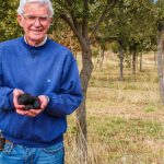 Eaglehawk Angus sale is "beyond expectations"