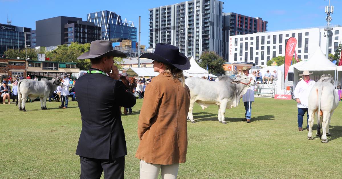 Ekka 2022: Faces around the Brahman ring | Queensland Country Life