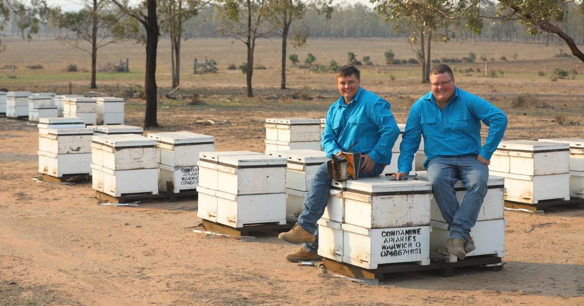 Bee control order tightens