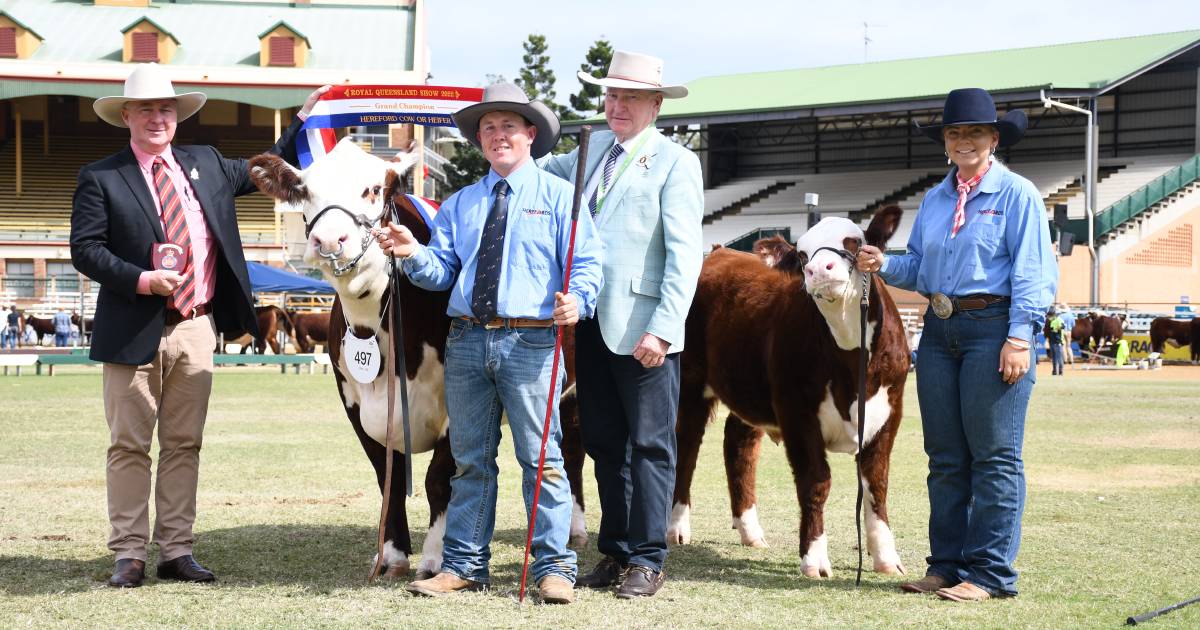 Hollis and Passmore the Hereford dream team once again in the Ekka ring