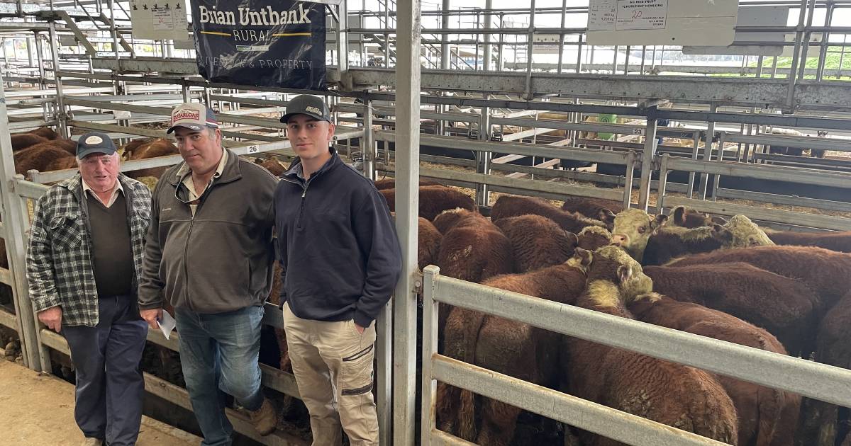 Wodonga cattle sale lifts by $40 to $60 | The Land