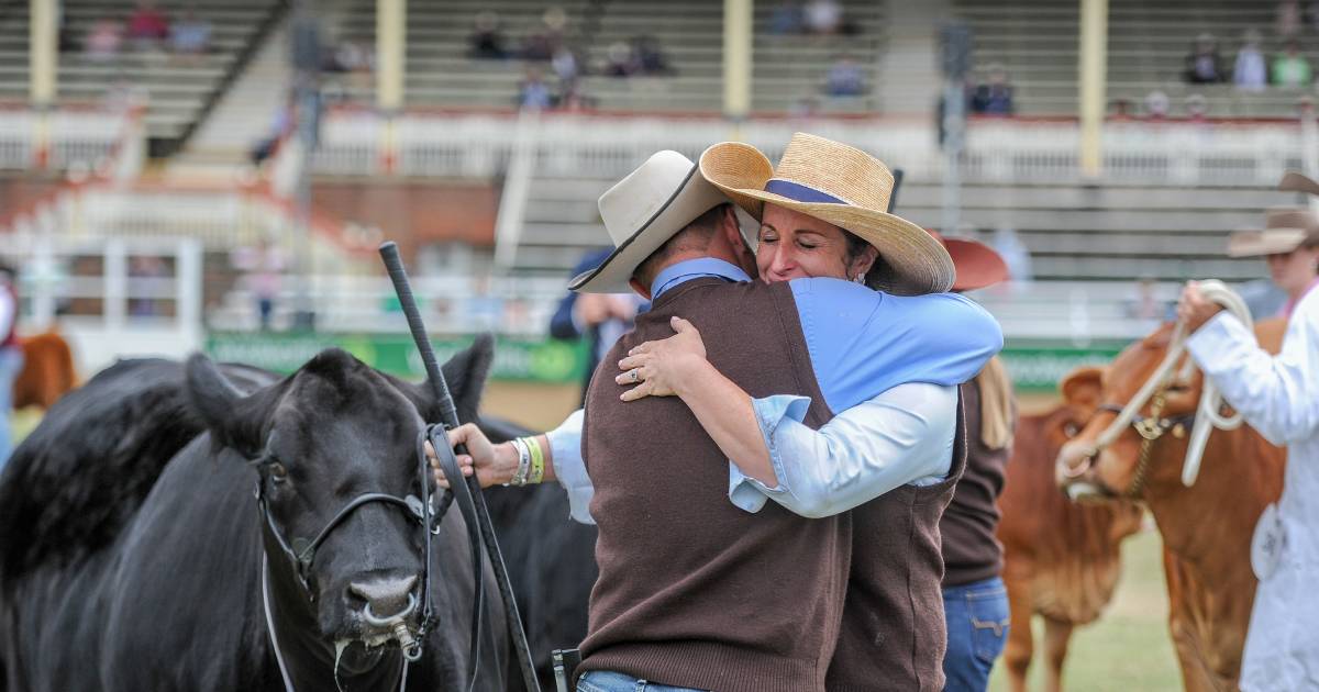 Ekka 2022: Charolais and Simmental dominate Royal Queensland Show interbreed results | Queensland Country Life