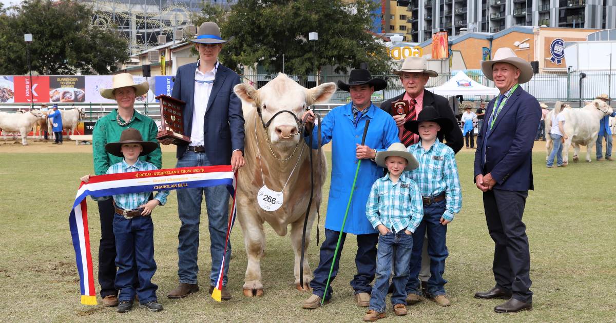 Ekka 2022: Ribbons spread around Charolais breeders | Queensland Country Life