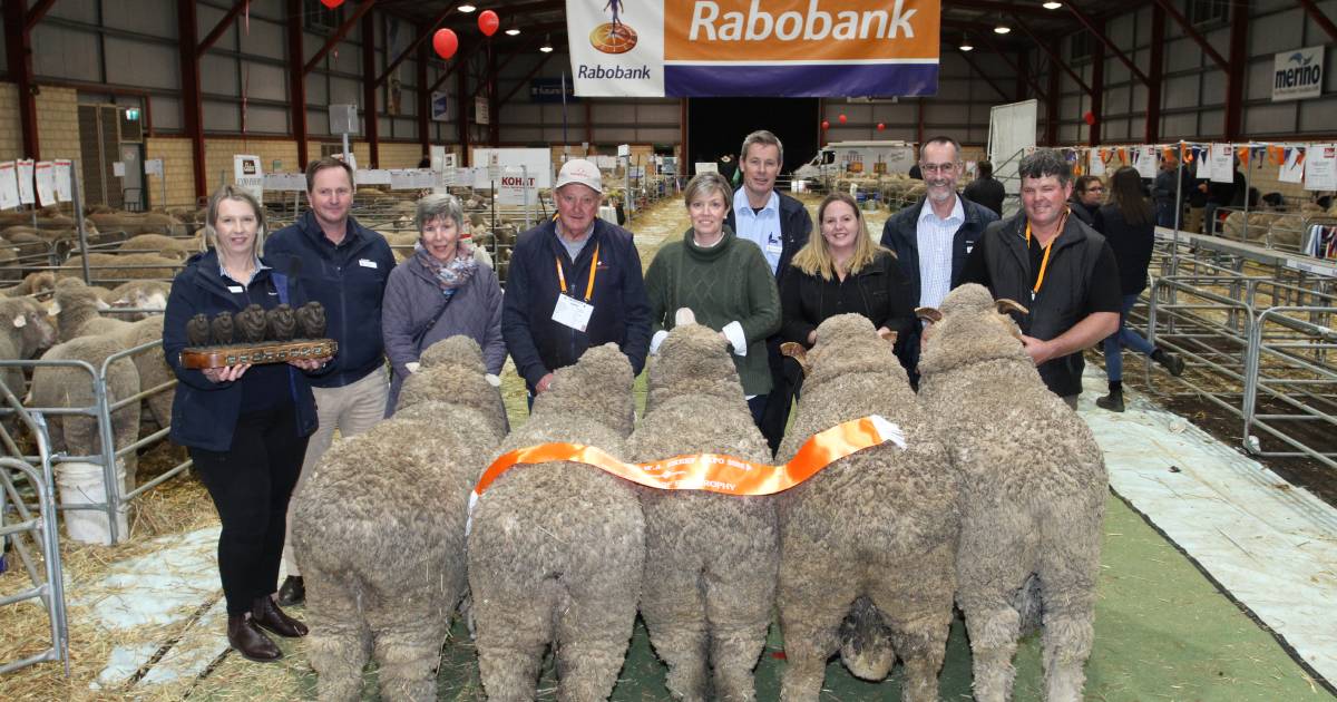 Rangeview stud, Darkan wins Rabobank Trophy at Katanning | Farm Weekly