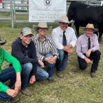 Dorroughby Speckle Park Invitational sale clears all 29 bulls and 28 females | Queensland Country Life