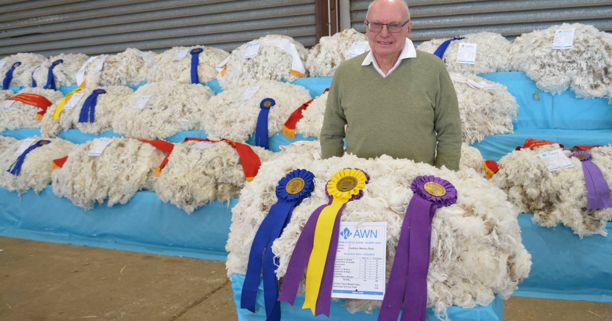 Grathlyn ultrafine Merino ram’s fleece wins AWN fleece competition at the Rabobank Merino national. | The Land