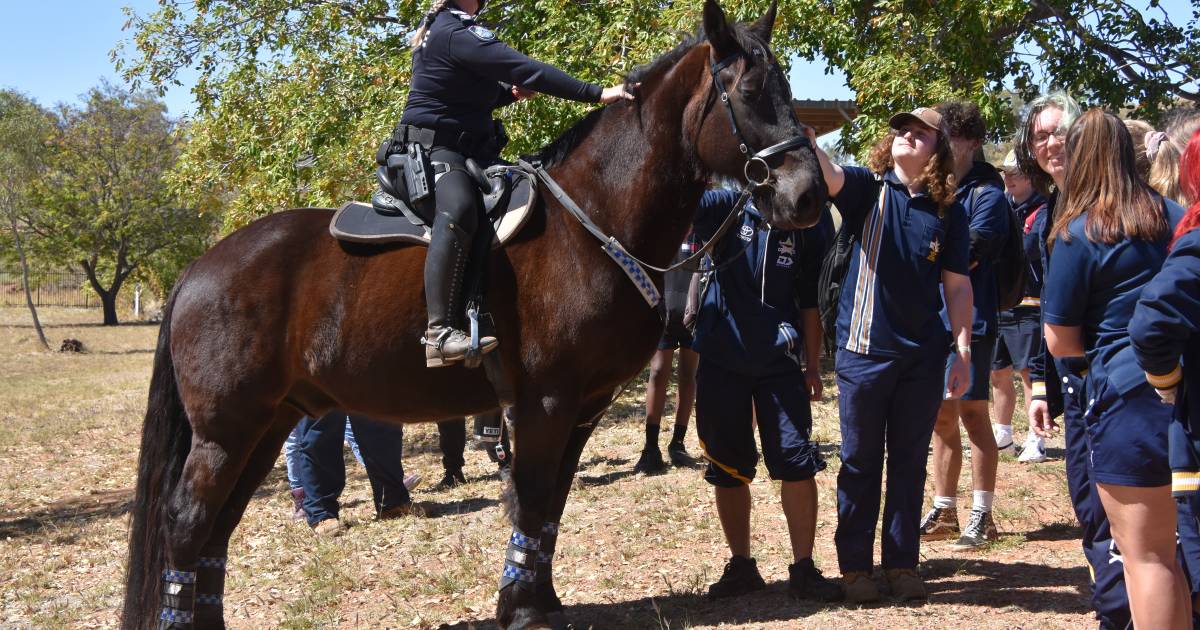 Students spark interest in Emergency Services following career day