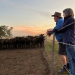 Farmer of the Year Marc Greening on expanding Injemira Hereford