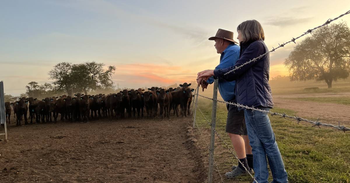 Pioneer Wagyu stud in Emerald changes hands after 25 years