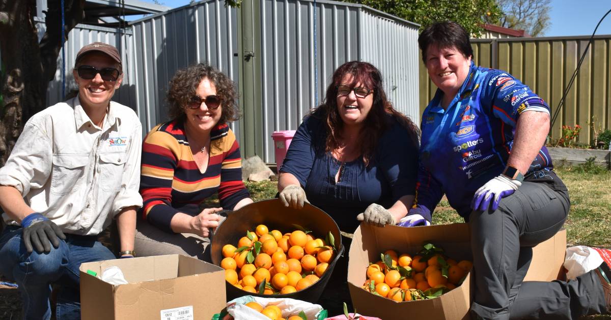 Rescued fruit a national prize winning project