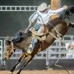 Volunteers wanted for Birdsville Races | The North West Star