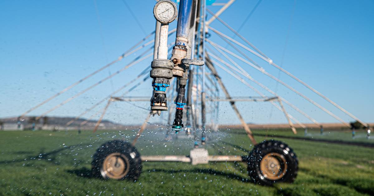 Lockyer Valley and Somerset Water Collaborative is calling for state government action on its recycled water scheme | Queensland Country Life