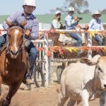 Bronc riding cowgirl Emily Howkins hits the North West rodeo circuit