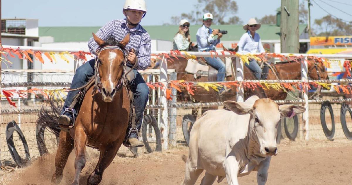 Bush campdraft, rodeo and races Sedan Dip commences Thursday | North Queensland Register