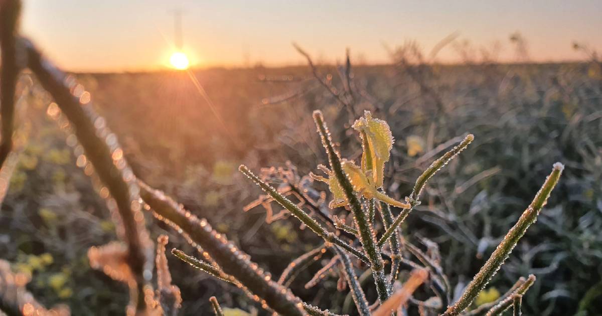 A frosty start to the day