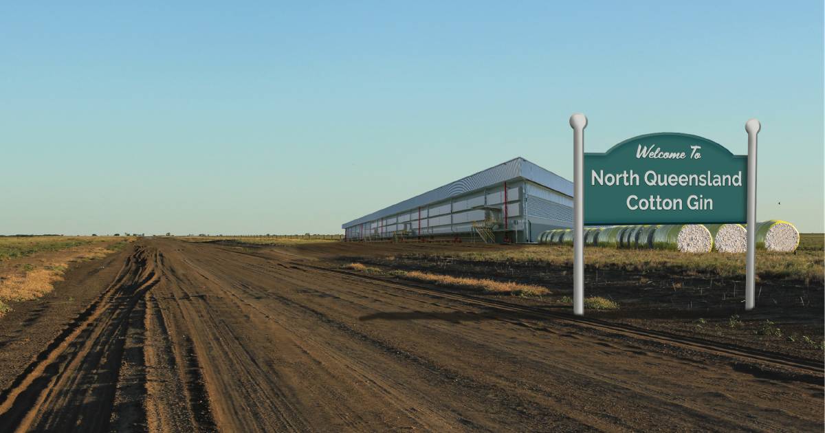 Outback town firms as new cotton gin prospect favourite