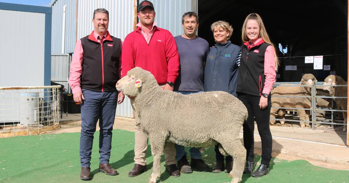 Belka Valley ram sale sells to $4700 top on Monday | Farm Weekly