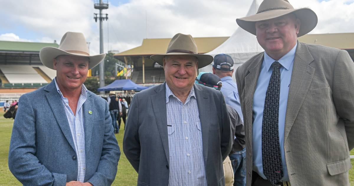 Angus breed's CEO soaks in his first Ekka at the helm