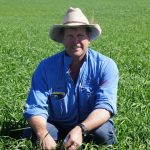 Weaner steers crack 700c at Roma